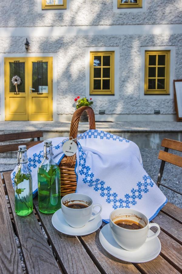 Boutique Rooms Pri Rogovilcu Solčava Екстериор снимка