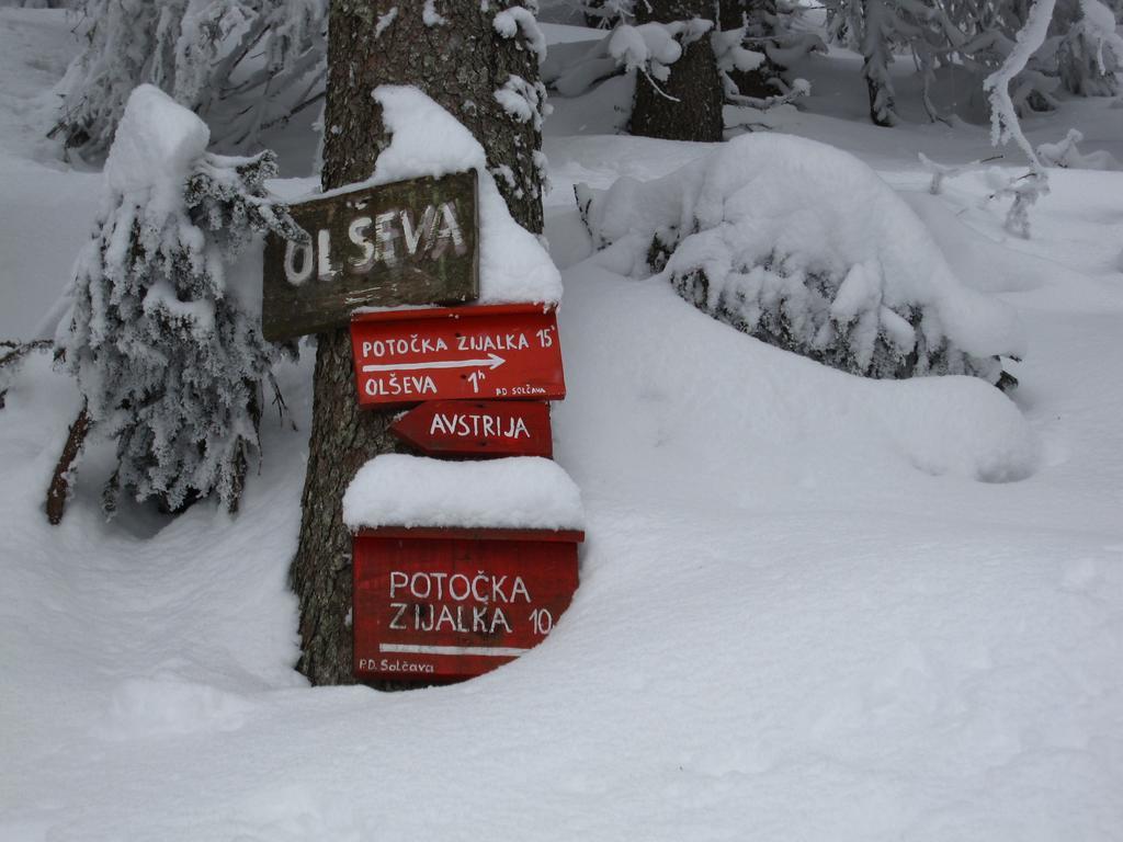 Boutique Rooms Pri Rogovilcu Solčava Екстериор снимка