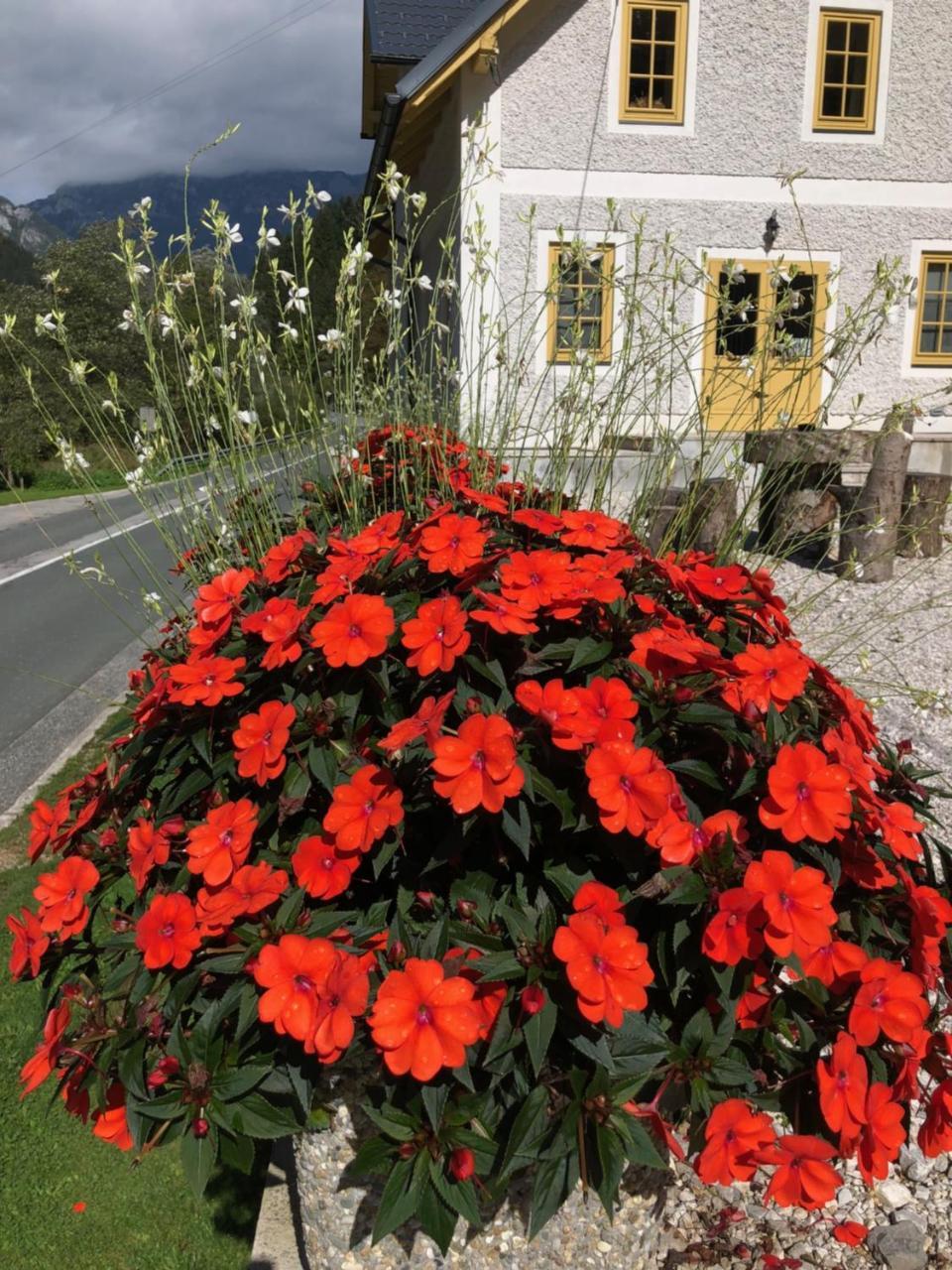 Boutique Rooms Pri Rogovilcu Solčava Екстериор снимка